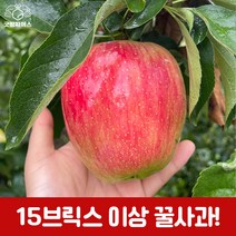 굿띵파머스 경북 부사 흠과 꿀사과 햇사과 가정용 3kg 6kg 10kg, 부사정품6kg(중과)20-27과