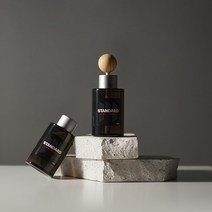 메이튼 스탠다드M 차량용 디퓨저 100ml 본품, 차량용 디퓨저100ml+우드 볼 스틱 2개, 프리지아, 2개, 프리지아