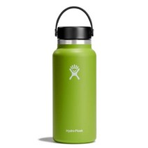HYDRO FLASK - 하이드로 플라스크 텀블러 물병 플렉스 캡이 있는 하이드로 플라스크 와이드 입 병, 해초, 32온스