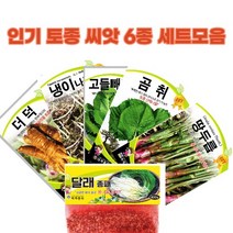 토종 씨앗 모음 6종1set 냉이씨앗 더덕씨앗 곰취씨앗 달래씨앗 땅두릅씨앗 고들빼기씨앗, 1set