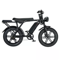 selcouth 48V 750W KS-S1R 20인치 레트로 전기자전거 최대출력1000W, 기본(15ah) 최대주행거리 110km