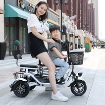 전기 3륜 스쿠터 바이크 배달 오토바이 애견 자동차, 리튬 배터리 20A로 80km/2인승 주행