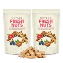 너트리 튀김땅콩 1kg (500g x 2개), 2개