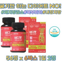 체지방 감소 내장지방 복부 피하지방 다이어트 컷팅제