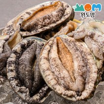 완도맘 완도 활 전복 특특대사이즈 8-9미 1kg 대전복 횟감용, 01. 전복8-9미 1kg