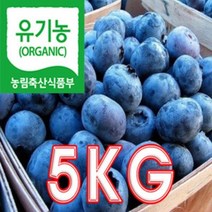 햇님농원 국산 유기농인증 블루베리 냉동 특 농장직송 당일수확 선물용, 1개, 5KG