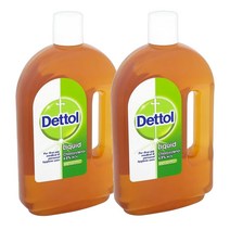 Dettol Antiseptic Disinfectant Liquid 데톨 안티셉틱 안티 박테리아 살균 소독액 750ml 2팩