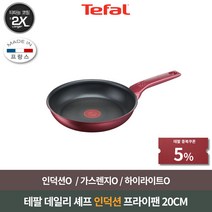 테팔 데일리셰프 인덕션 팬 일반프라이팬, 20cm, 1개
