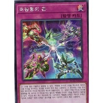 유희왕 한글판 패왕룡의 혼 시크릿 레어 HC01-KR037
