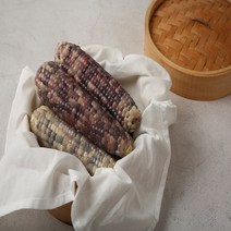 삼기품 쫀득하고 고소한 곡성 삼기 흑찰옥수수, 500g(15cm이상 2개입), 5팩