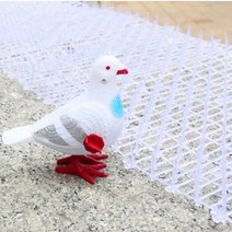 비둘기 퇴치 버드 스파이크 2m 실외기 베란다 트랩, 화이트+케이블 타이