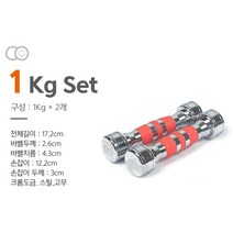 크롬 도금 아령 덤벨 세트 1+1 1kg 2kg 3kg 4kg 5kg 6kg 7kg 8kg 9kg 10kg 11kg 12kg, 1kg(1+1)