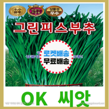 [OK씨앗] [그린피스부추] 부추씨앗(오케이씨앗), 15g