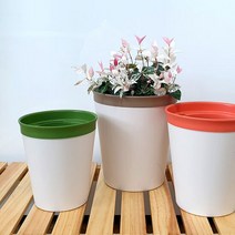 저면관수 컬러라인 12호 원형 화분 플라스틱 인테리어 자동급수, 단품