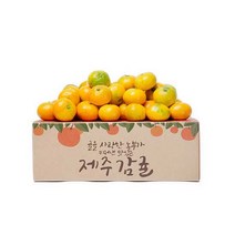 제주 감귤 맛좋은 제철과일, 1box, 4.5kg 로열소과
