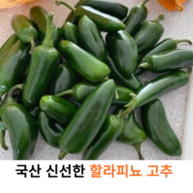 국내산 신선한 할라피뇨 고추 500g 1kg 3kg 5kg 10kg 국산 할라피뇨 생 고추 매운고추 피클용 B급 대용량 5kg 10kg 업소용, 1개
