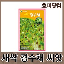 호미닷컴 새싹 경수채 12g
