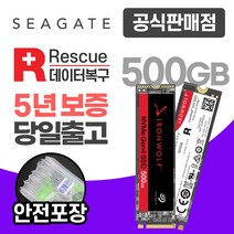 씨게이트 아이언울프525 NAS M.2 NVMe SSD, 500GB