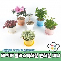 테이퍼 플라스틱화분 빈화분 미니, 상품선택
