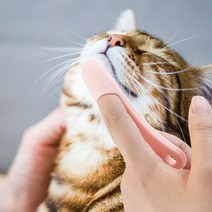 고양이강아지세안 PET 고양이 턱드름 브러쉬 꼬드름 블랙헤드 관리 고양이여드름 피지관리, Å▤01턱드름브러쉬-핑크☆★, 01턱드름브러쉬-핑크