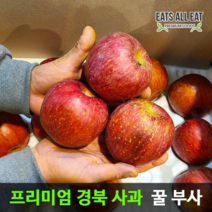 이츠올릿 경북 안동 부사 꿀 사과 5kg 10kg 청송 문경 장수 밀양 얼음골 못난이, 정품／부사 대과(24-26과) 10kg
