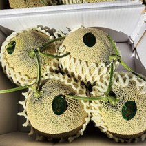 세론이 멜론 세지메론 멜론 2수 2.5kg 노란박스 특등급 파란박스 상등급 2종류, 상 2수 2.5kg 내외