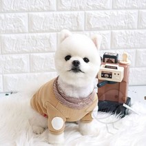 새임 카라 티셔츠 3XL 프렌치불독옷 멍멍이옷 애완견봄옷, 블루