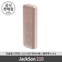 JackSon 210 서브우퍼 블루투스 스피커 (로즈골드)