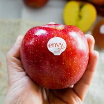 사과계의 명품 고당도 엔비 사과 5kg 10kg, 2.5kg(7-10과)), 1개