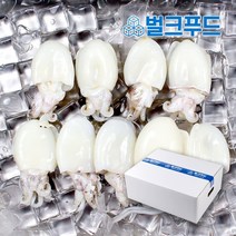 미니 갑오징어 베이비이까 2.4kg 벌크 손질, 옵션2. 12미(40/60)