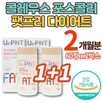 콜레우스 포스콜리 추출물 알약 정 환 포스콜린 forskolin 나이아신 30대 40대 50대 60대 중년 여성 남성 다이어트 체지방 감소, 2박스