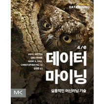 데이터 마이닝:실용적인 머신러닝 기술, 에이콘출판, 데이터 마이닝, 이안 위튼(저),에이콘출판