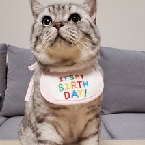 강아지 고양이 스트라이프 생일파티 용품 케이프 스카프 선물, 핑크