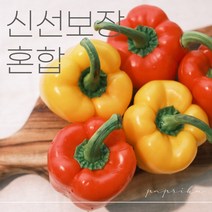 [더조은] 파프리카 혼합 빨강+노랑 못난이 파프리카 1kg 2kg 3kg 5kg, 혼합 3kg