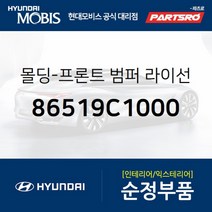 순정 자동차 전면 번호판 플레이트 (86519C1000) 쏘나타LF 현대모비스 부품 공식대리점 온라인쇼핑몰 파츠로, 1개