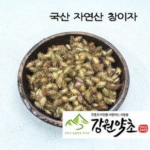 창이자200g (국산 자연산) 도꼬마리 볶은 창이자 신이화 유근피 창이자분말 독고마리 작두콩 느룹나무, 국산  작두콩300g, 1개