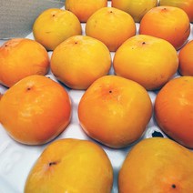 [엄지척농산물] 지금 수확! 달콤한 청도반시 홍시 연시, 5kg 대과(35과 내외), 1개