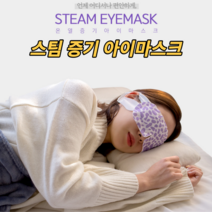 아이마스크 일회용 온열안대 눈찜질팩 수면안대 스팀 온열수면안대 안구건조증 안구찜질팩 눈피로푸는법 눈마사지 온찜질 눈온열기 발열 눈핫팩 숙면 따뜻한 눈온찜질팩 휴대용 선물 추천, 냉기, 1개