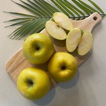 아삭후르츠 시나노골드 황금사과 3kg 5kg, (가정용=흠집사과)소꼬마과 29-33(5kg)