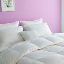 폭스베딩 폴란드 구스다운 80수 이불솜 겨울용 킹(K)-1300g