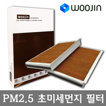 우진필터 PM2.5 초미세먼지 BMW 에어컨필터, B5 (E60 E61)/YCG06