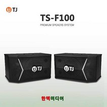 태진미디어 TS-F100 10인치 노래방스피커 250W, TS-F100/태진/10인치/250W
