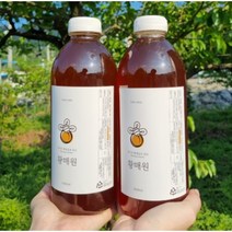 지리산 하동 자연 유기산 황매실 매실청 매실원액 1000ml 1+1
