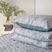 클푸 [클푸]알러지케어 모네 사계절 차렵이불 Q