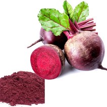 비트 분말 제주에서 키운 레드 비트 가루 무농약인증, 2통, 300g