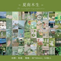 빈티지다꾸 패키지 랜덤박스 스티커 1005004381787672, c