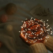 마이플랜트 [마이플랜트]드롭 지네 전구 (전구+조절기set) 크리스마스 LED 앵두전구 인테리어 조명 캠핑전구, 웜화이트, 선택완료