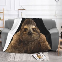 모티브 담요 뜨개 블랭킷 인테리어 나태 패턴 재미 있은 담요 양털 장식 동물 다기능 울트라 소프트 던져