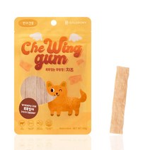 아트박스/다솜 골드로니 츄윙껌 치즈 100g 강아지 껌, 단품