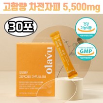 차전자피 환 가르시니아 차전초 차전자 질경이씨앗 5500mg 30포 푸룬농축분말 장비우기 임산부 먹기편한 작은크기 귀리 식이섬유 수용성 장청소 분말 변이딱딱 질경이, 1개